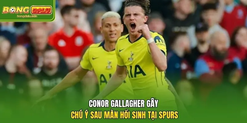 Conor Gallagher gặp khó khăn và mất vị trí sau biến động tại Tottenham. 